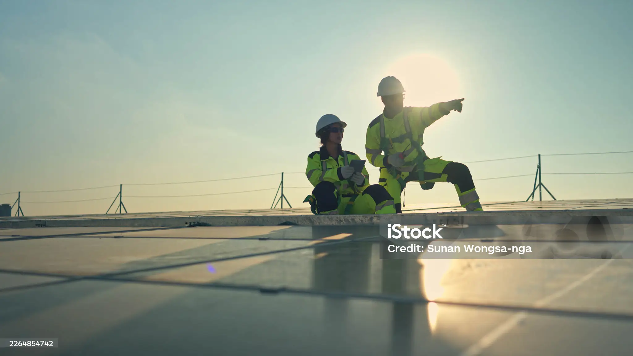 Solar PV Modules & Panels
